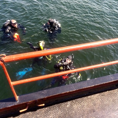 4 duikers van Qdiving