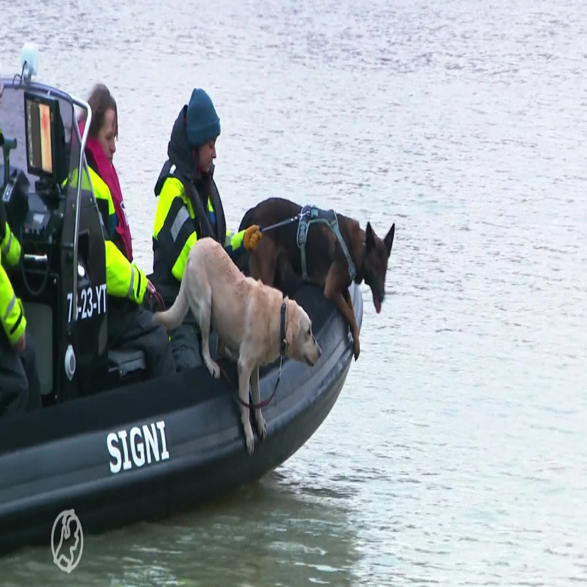 2 zoekhonden in een boot van non-profit stichting Signi
